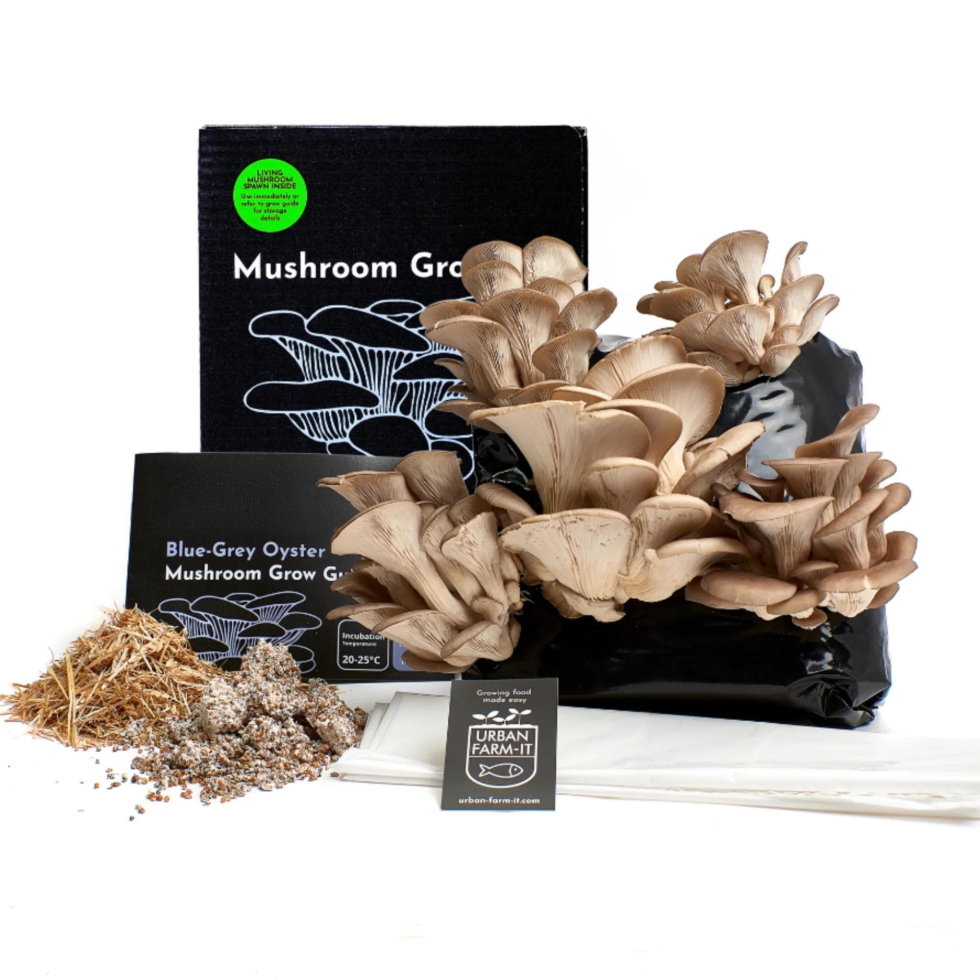 Beginner Mushroom Combo Kit